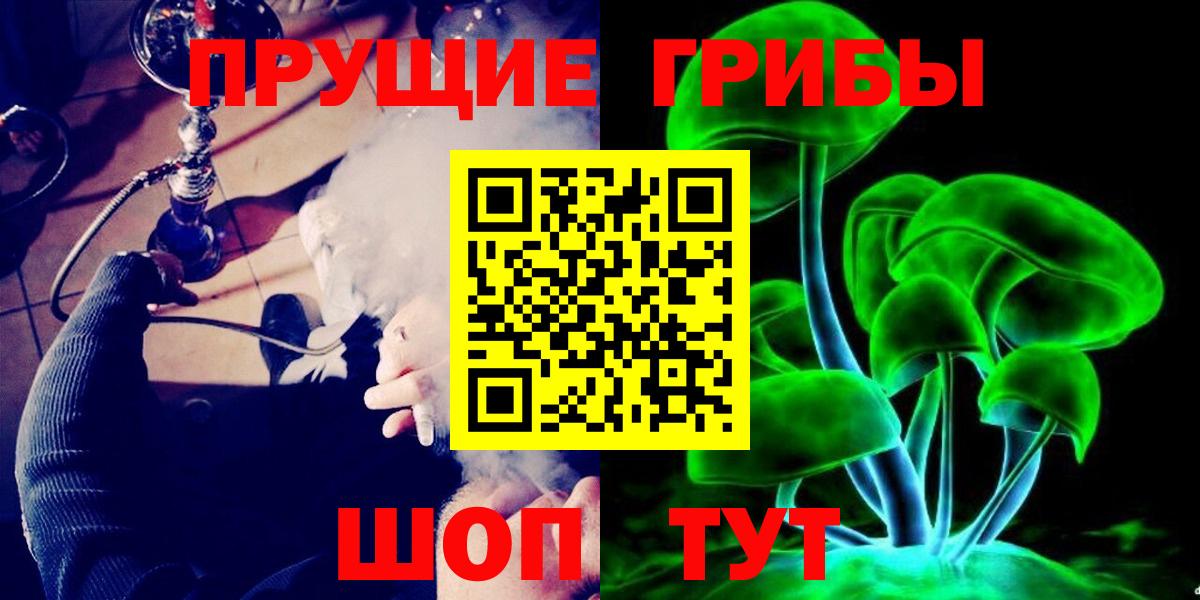 Псилоцибиновые грибы Cubensis Качканар